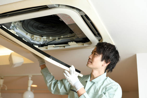 Best Air Duct Inspection  in Horse Shoe, NC